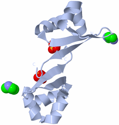 Image Biological Unit 3