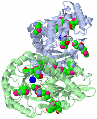 Image Biological Unit 1