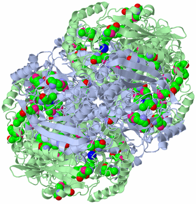 Image Biological Unit 3