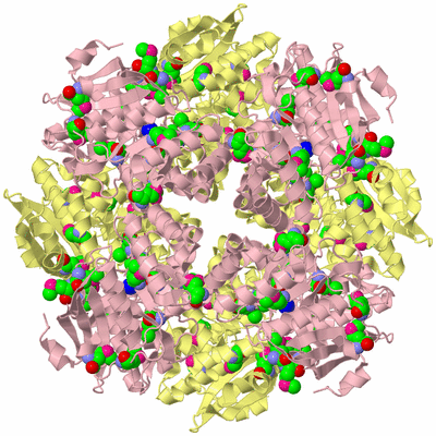 Image Biological Unit 4