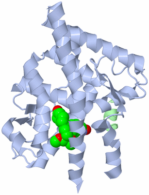 Image Biological Unit 1