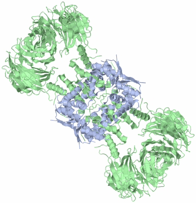 Image Biological Unit 2