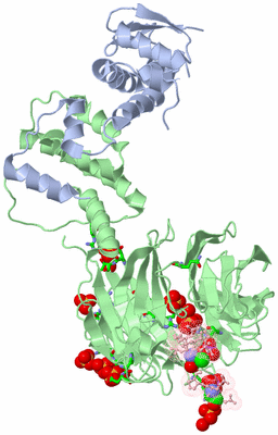 Image Biol. Unit 1 - sites