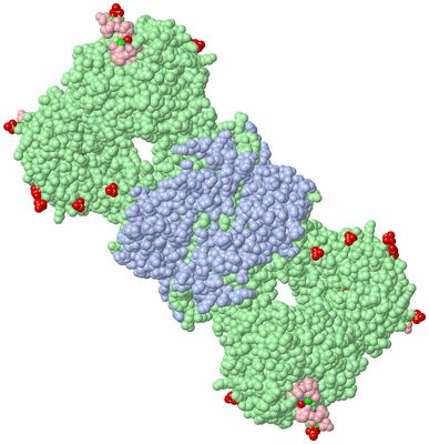 Image Biological Unit 2