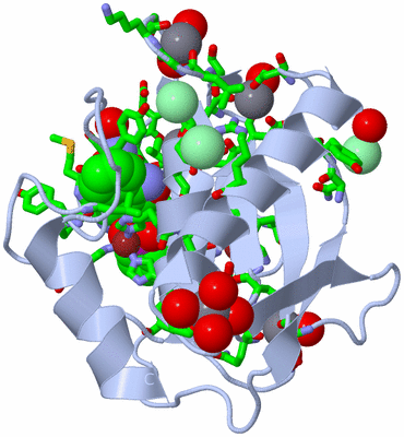 Image Biol. Unit 1 - sites