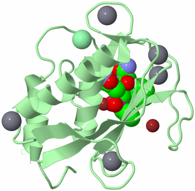 Image Biological Unit 2