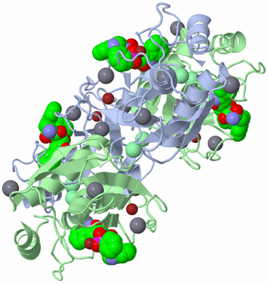 Image Biological Unit 3