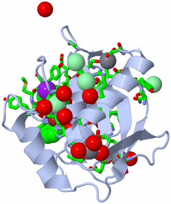 Image Biol. Unit 1 - sites