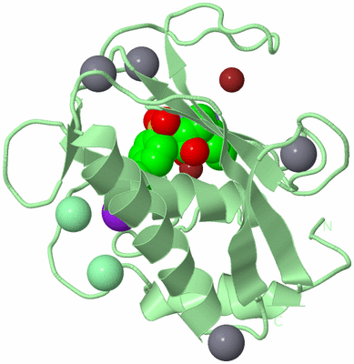 Image Biological Unit 2