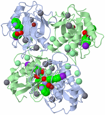 Image Biological Unit 3