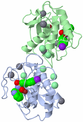 Image Biological Unit 4