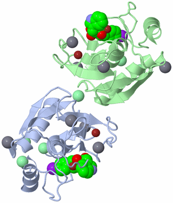 Image Biological Unit 5