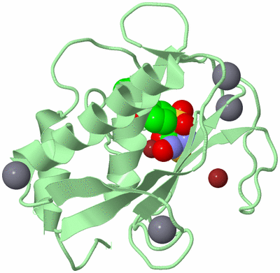 Image Biological Unit 2