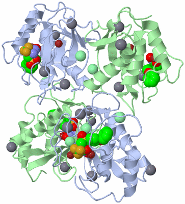 Image Biological Unit 3