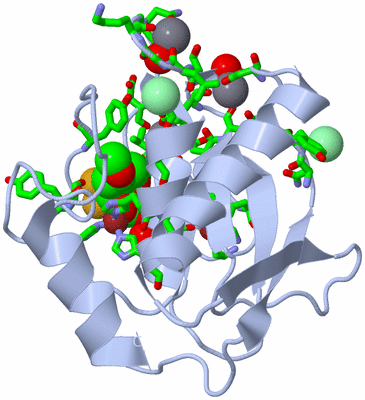 Image Biol. Unit 1 - sites