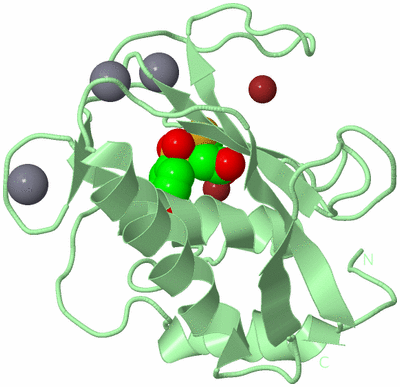 Image Biological Unit 2