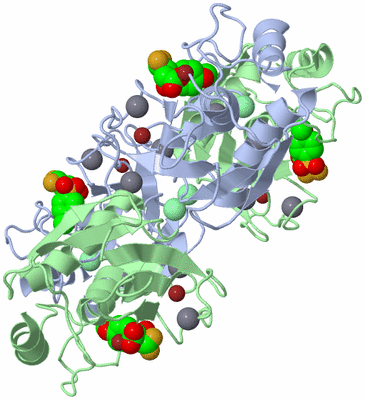 Image Biological Unit 3