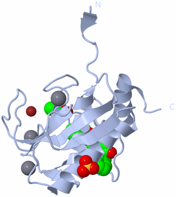 Image Biological Unit 1