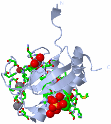 Image Biol. Unit 1 - sites