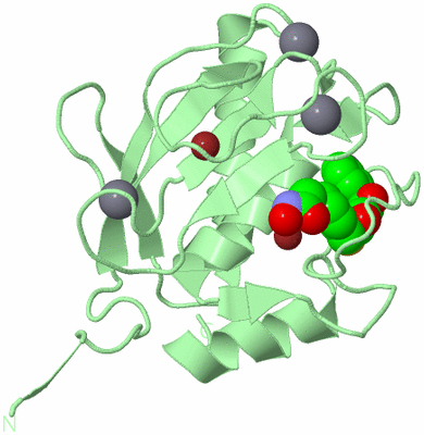 Image Biological Unit 2