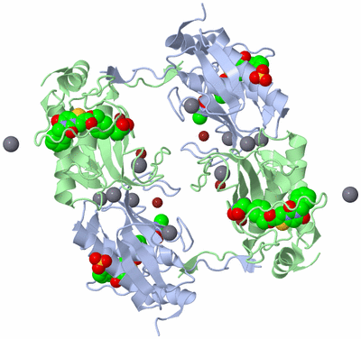 Image Biological Unit 3