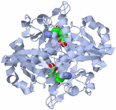 Image Biological Unit 1