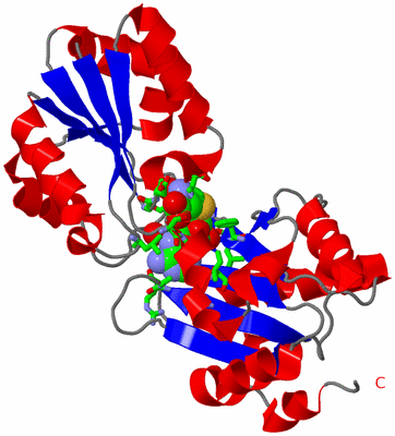 Image Asym. Unit - sites