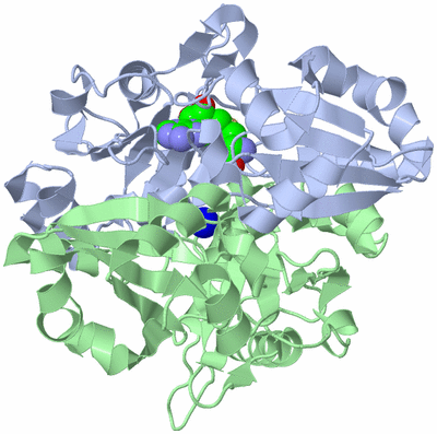 Image Asym./Biol. Unit