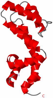 Image NMR Structure - model 1