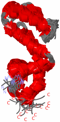 Image NMR Structure - all models