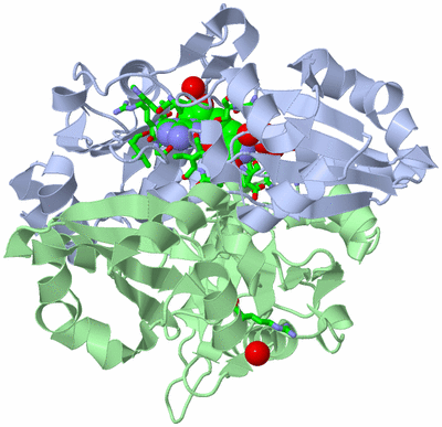 Image Biol. Unit 1 - sites