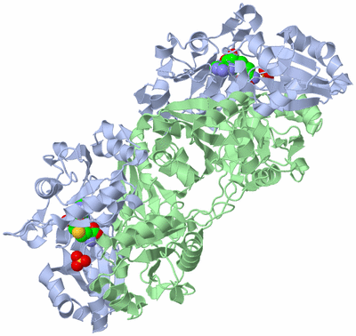 Image Biological Unit 2