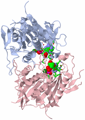 Image Biol. Unit 1 - sites