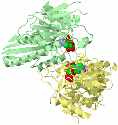 Image Biological Unit 2