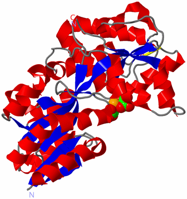 Image Asym./Biol. Unit