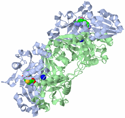 Image Biological Unit 2