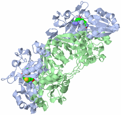 Image Biological Unit 2