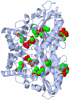 Image Biological Unit 2