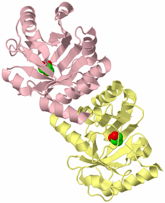 Image Biological Unit 2