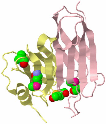 Image Biological Unit 3