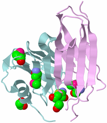 Image Biological Unit 4