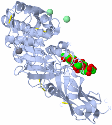 Image Biological Unit 1