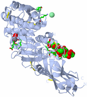 Image Biol. Unit 1 - sites