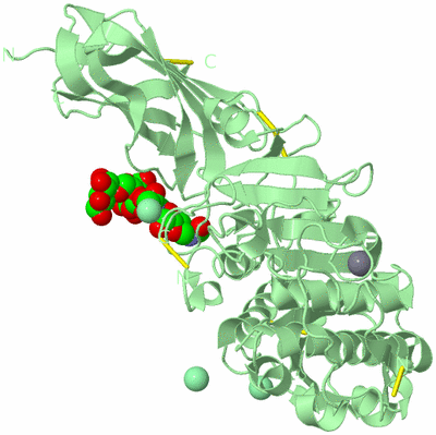 Image Biological Unit 2