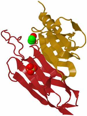 Image Biological Unit 1