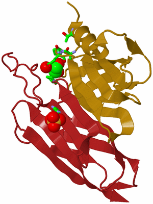 Image Biol. Unit 1 - sites