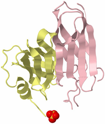 Image Biological Unit 3