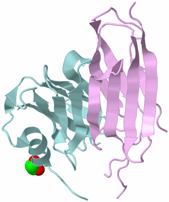 Image Biological Unit 4