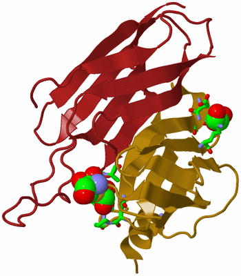 Image Biol. Unit 1 - sites