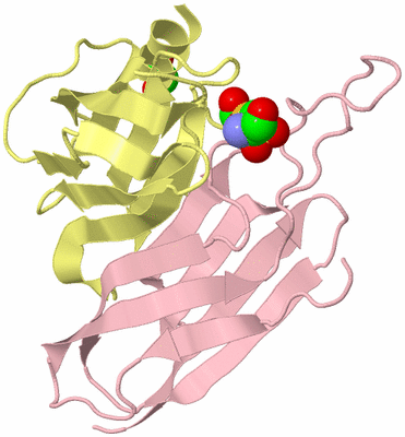 Image Biological Unit 3